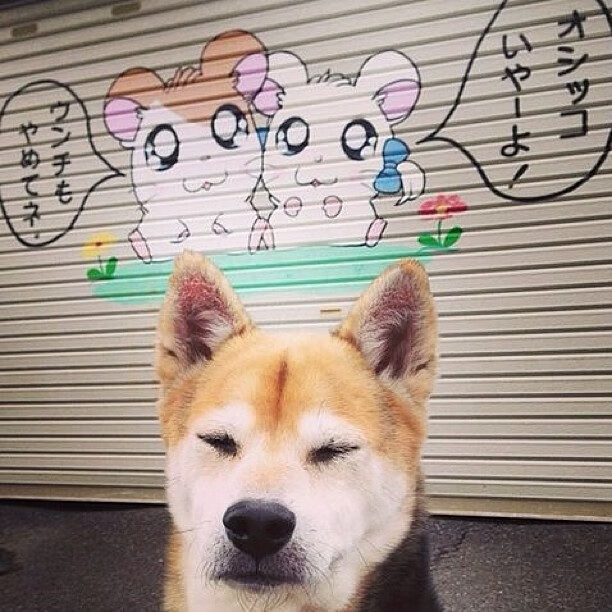 当巴拉圭爆冷希腊，一场跨越体育维度的总决赛隐喻