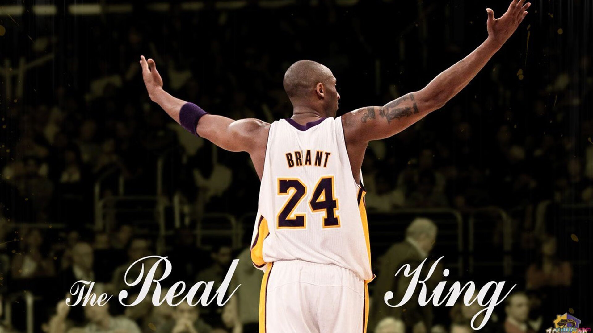 加克波在伊拉克vs挪威之战中，给亚洲足球上了一堂价值千金的实战教科书